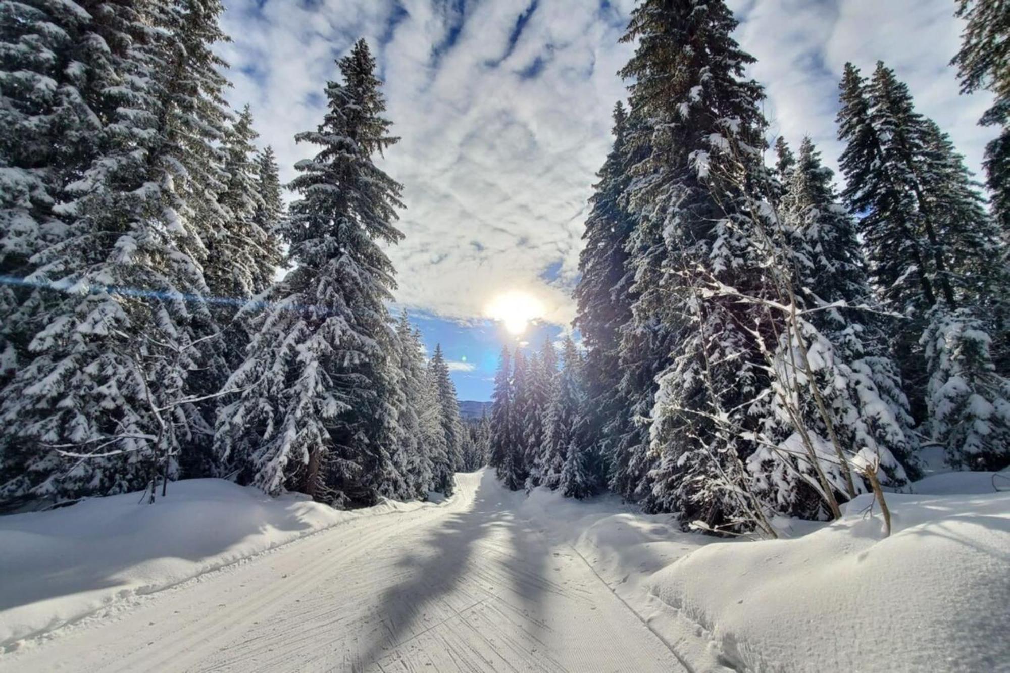 Chaleureux Studio Au Pied Des Pistes - Le Refuge Les Déserts Exteriör bild